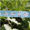 Order  Animal Cuties - Sheep/Blue